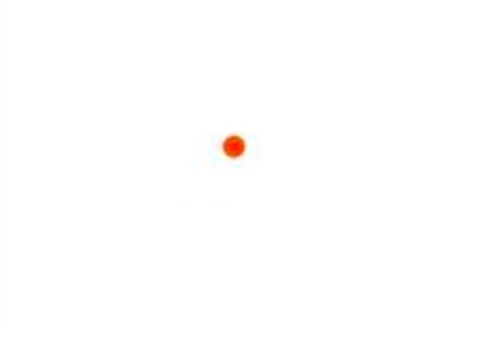 Holographic LEUPOLD LCO Style red dot sight Tan